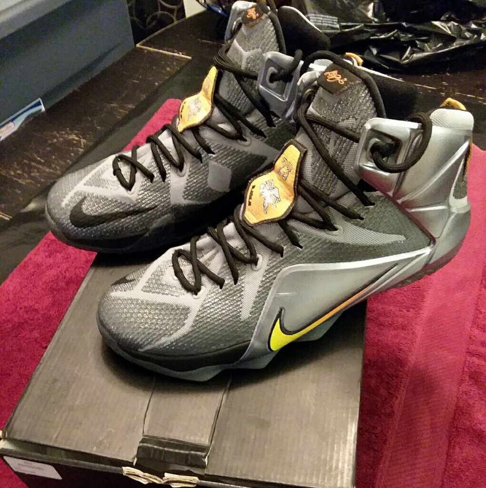 Men's LeBron shoes